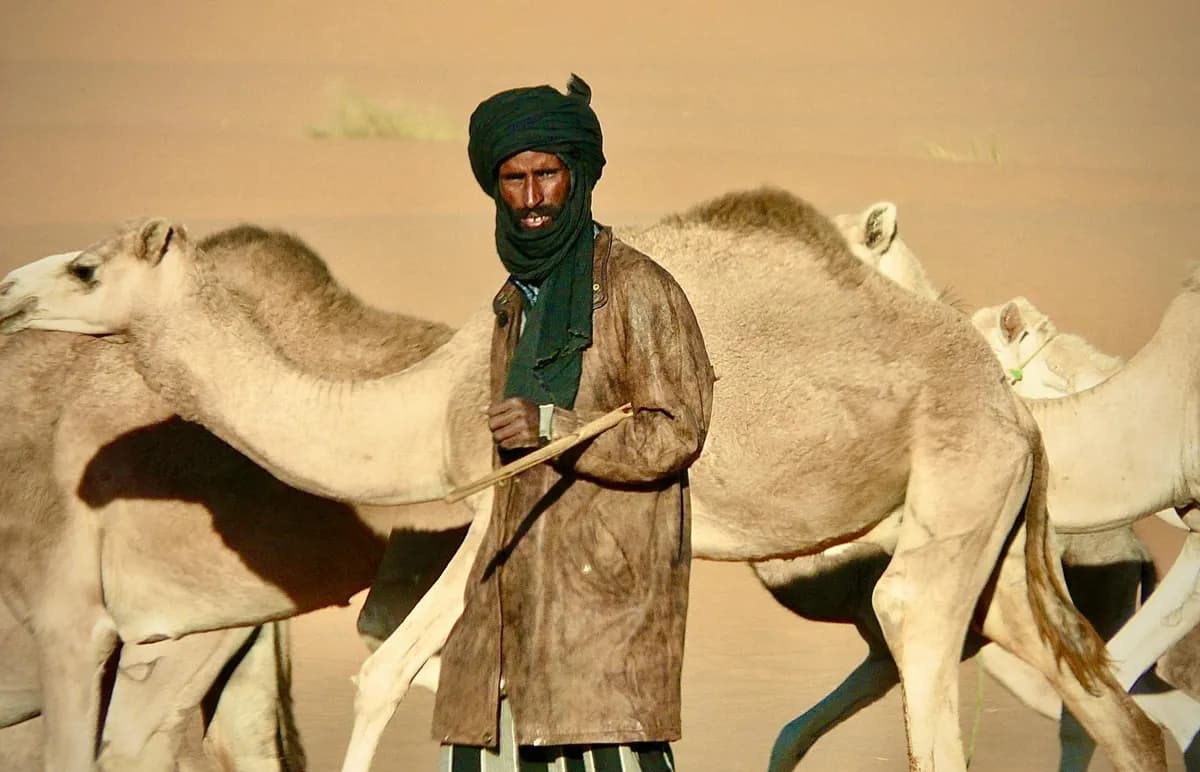 À la découverte des trésors touaregs d'Agadez