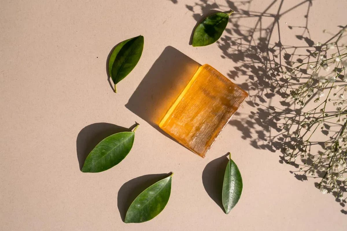 Chogan, l'essence de la nature au cœur des soins de beauté