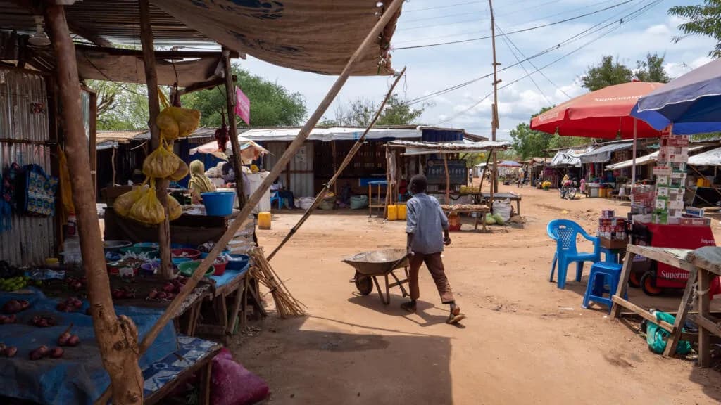 Guerre au Soudan : les familles de réfugiés vivent dans l'incertitude des disparus d'El-Fasher