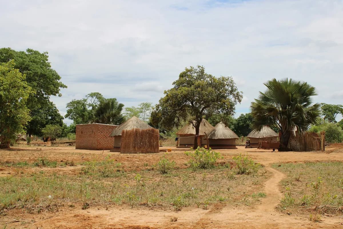 Maison Nimba : L’Afrique s’invite chez vous avec élégance
